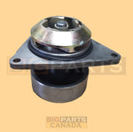 Water Pump J800976, J802479, J802975, J806180 for Case